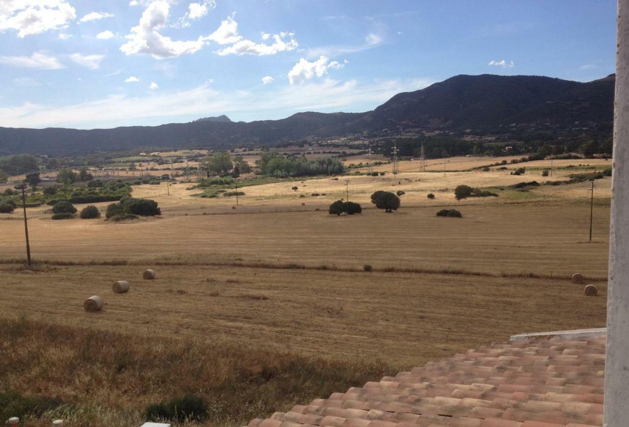 Anno Domini Bed and Breakfast Olbia Exterior foto